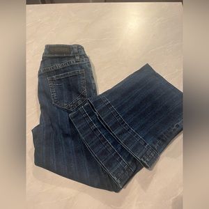 Rock & Roll cowgirl trousers 24x36